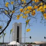 4º Encontro Nacional de Procuradoras da Mulher, evento que reunirá vereadoras, deputadas e senadoras